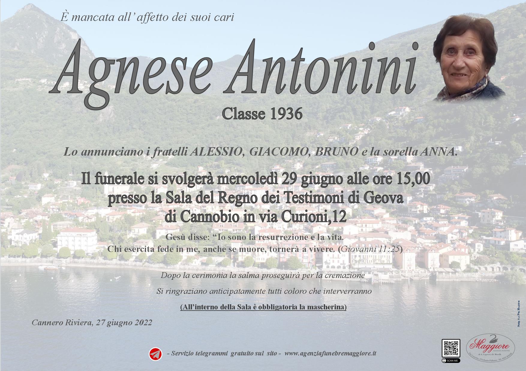 Agnese Antonini