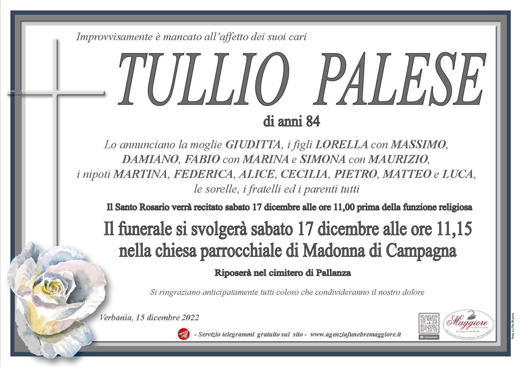 Tullio Palese